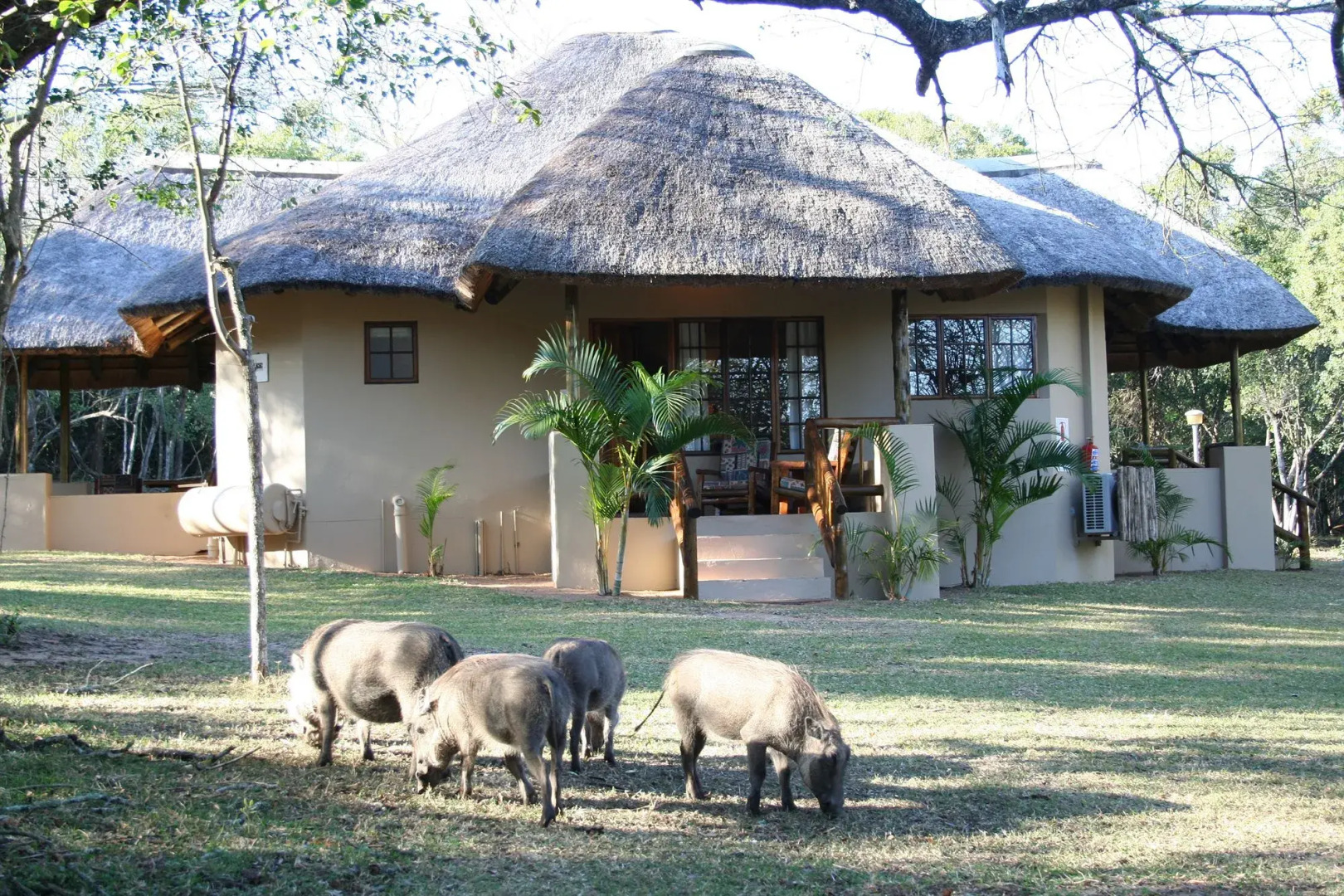 Bonamanzi Game Reserve