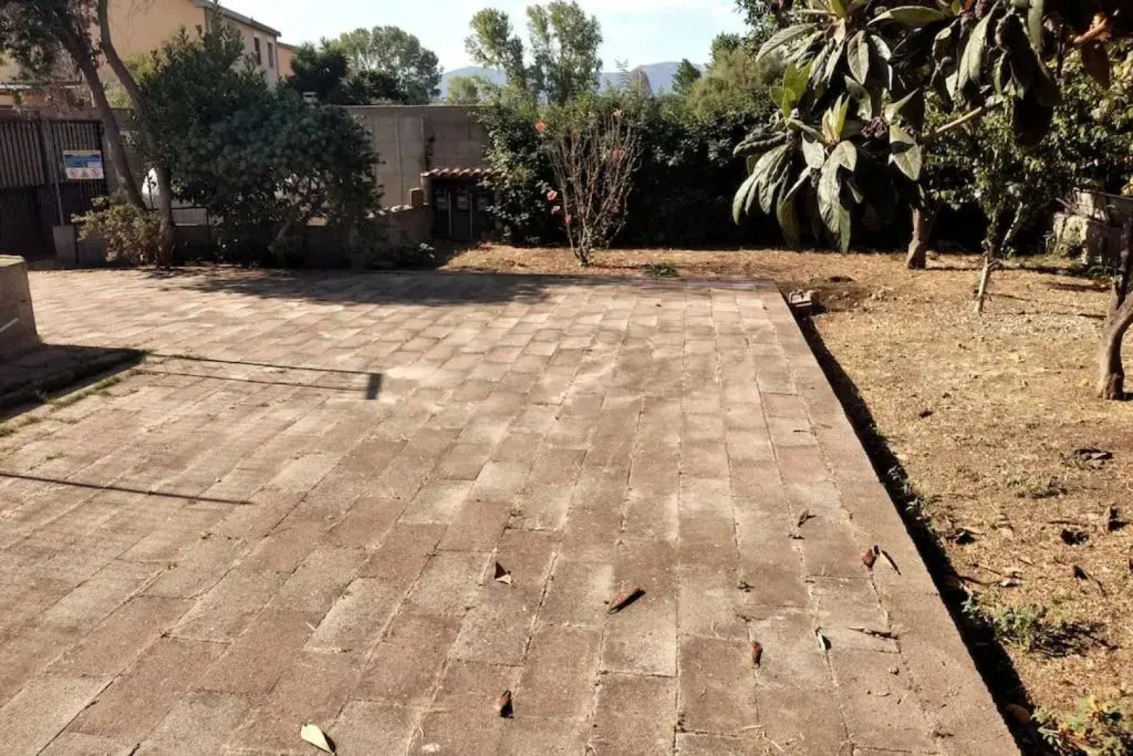 Blu Marlin - IUN Q4073