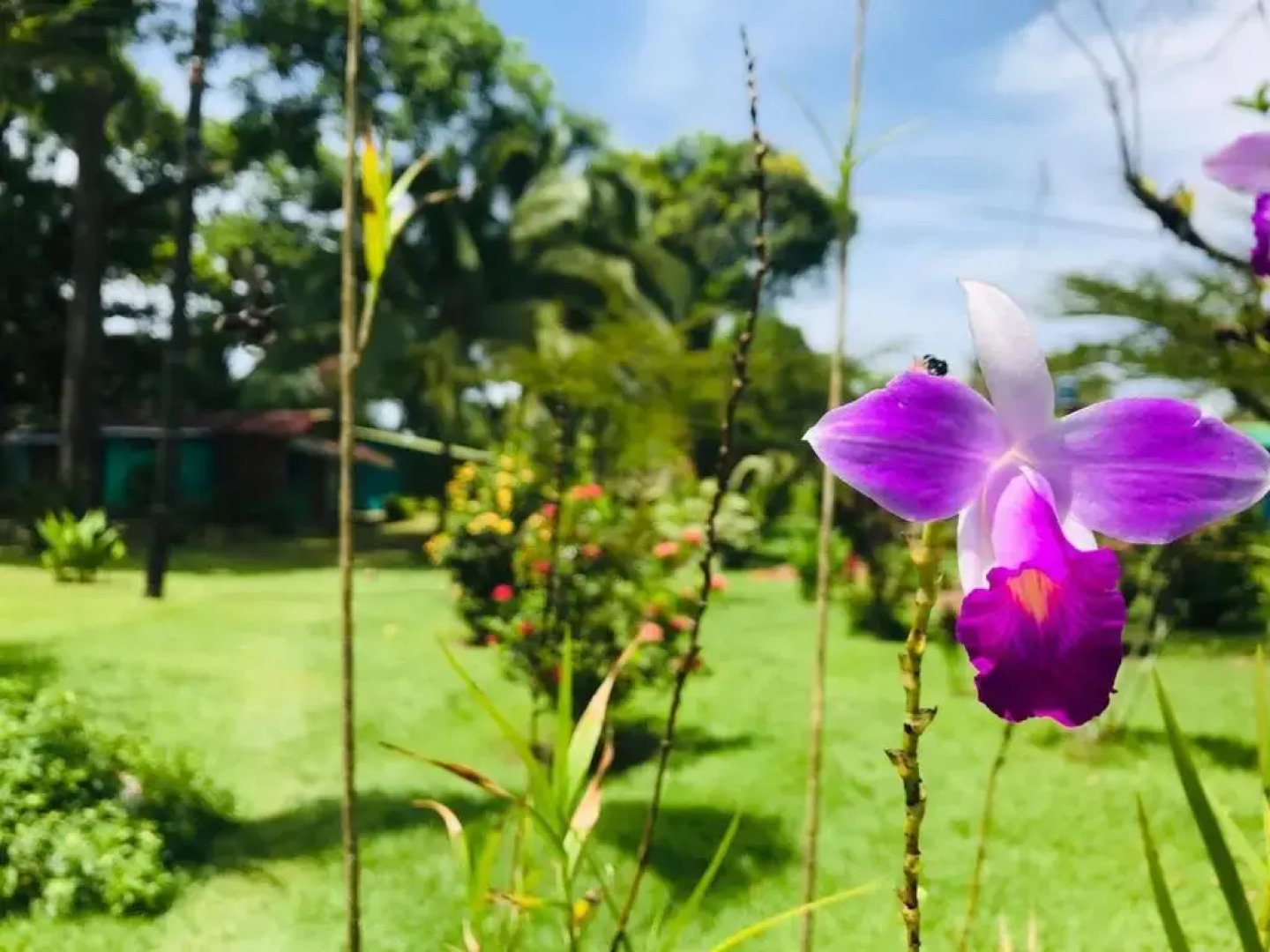 All Rankins Eco-Lodge