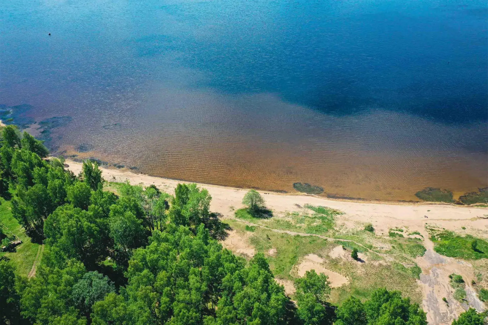 ЁЛКИ Глебычево