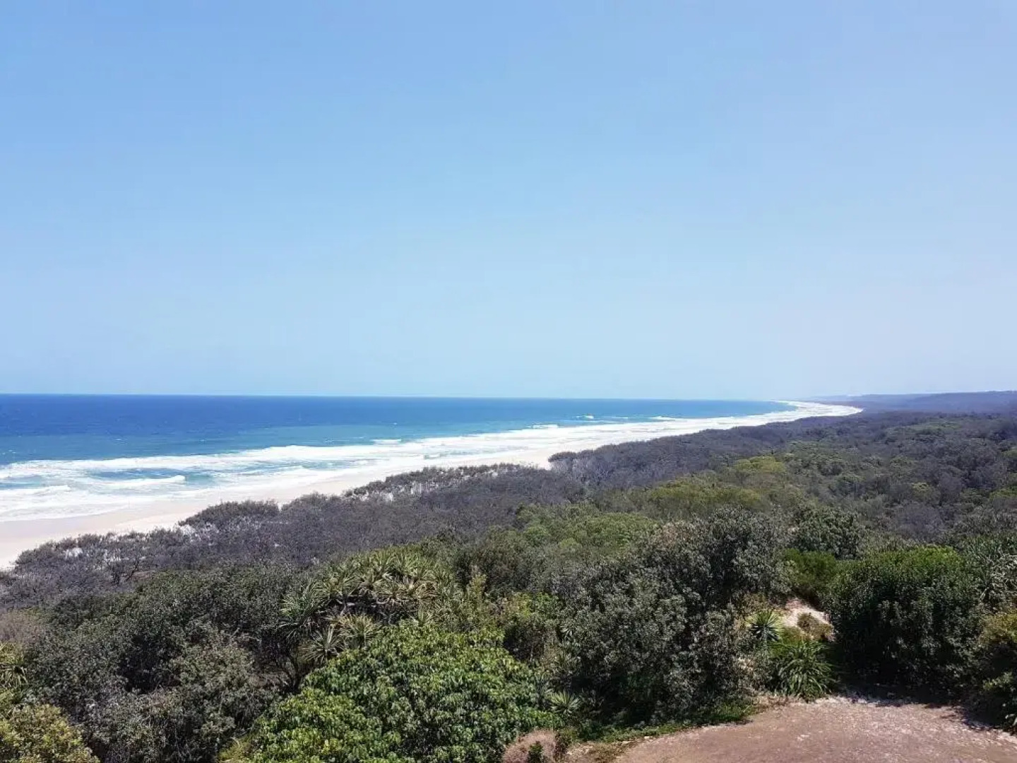 Whale Watch Ocean Beach Resort