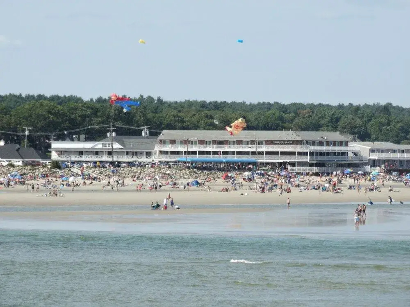 Dragonfly Guest House