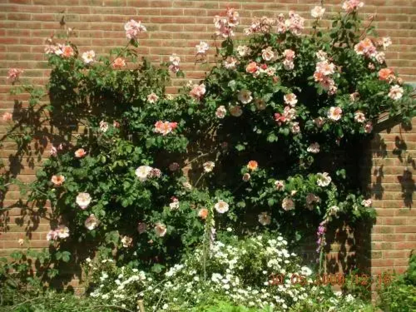 Pearfield Bed and Breakfast