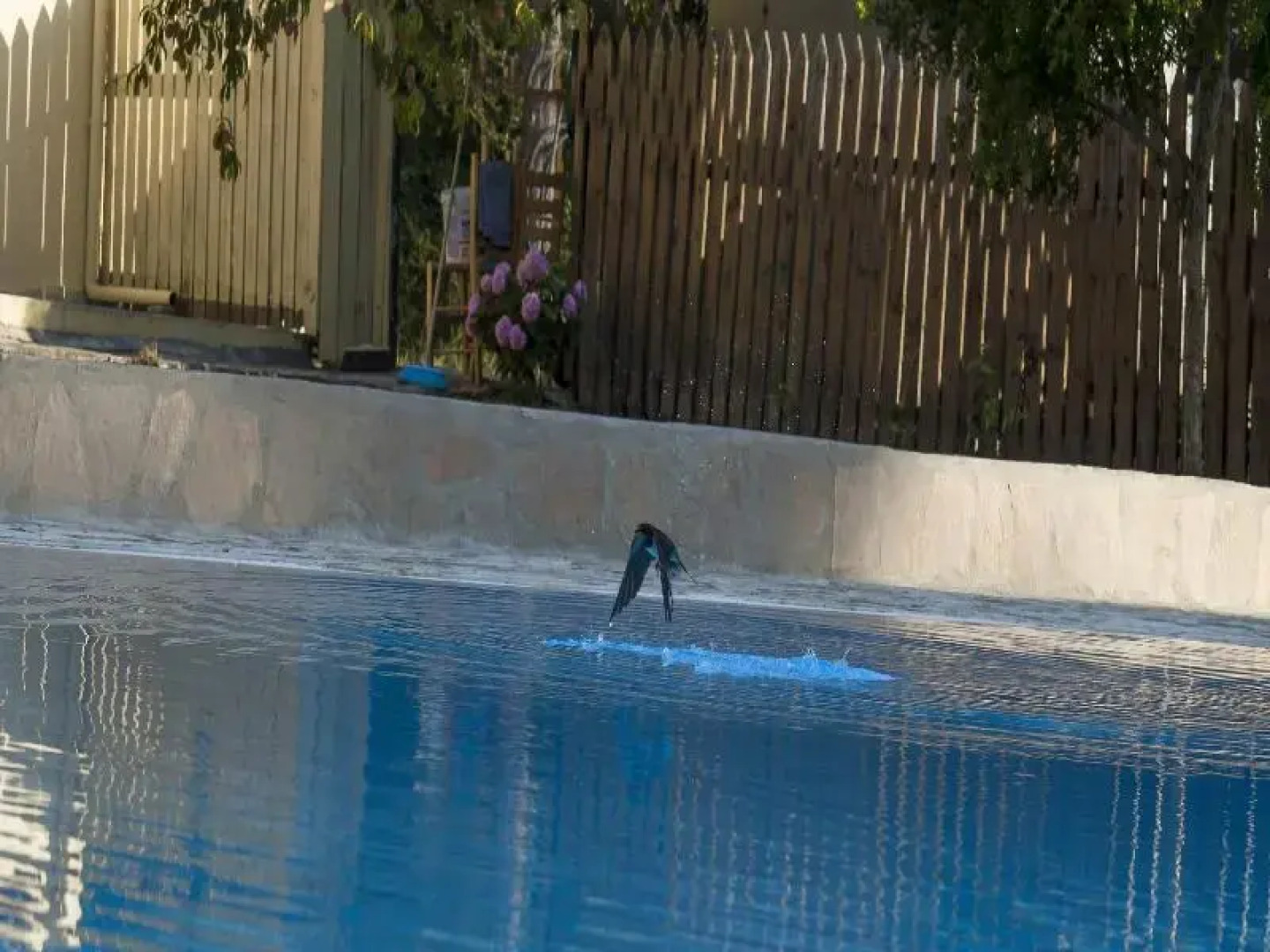 ELEÅŒNAS bohotel and Annex Apartment