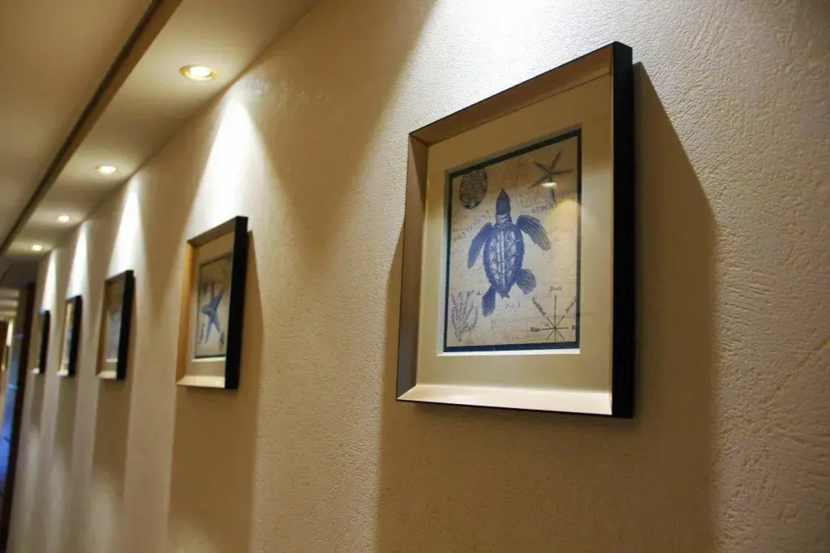 Hotel Dreamland Oasis