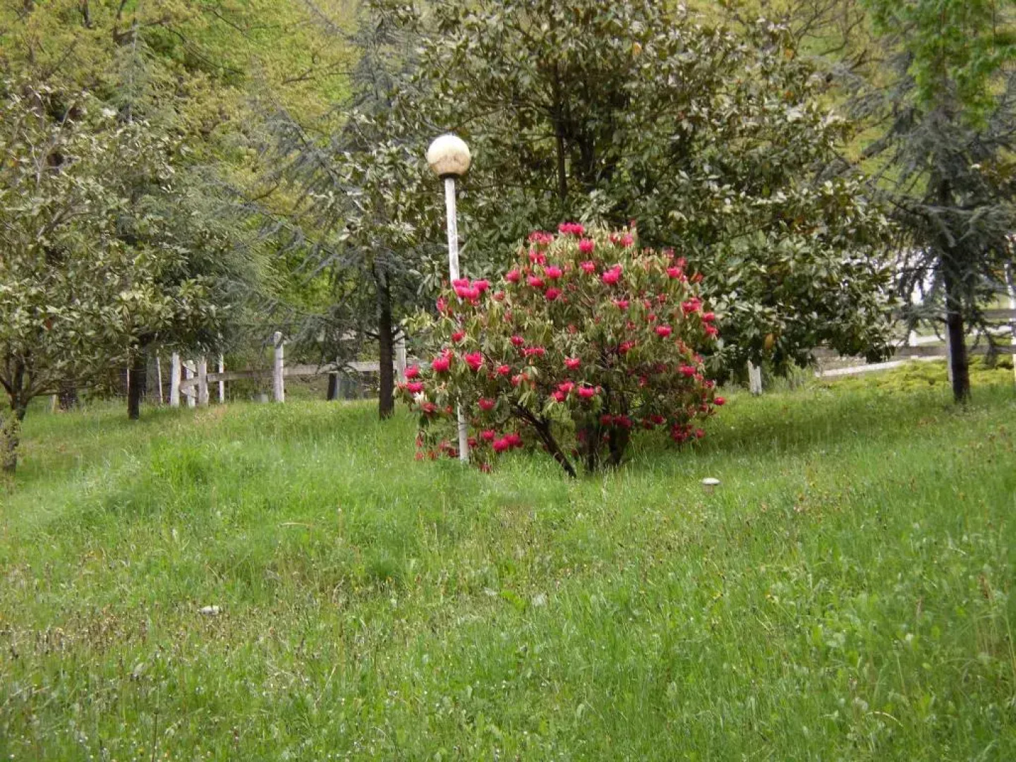 Agriturismo Le Giare