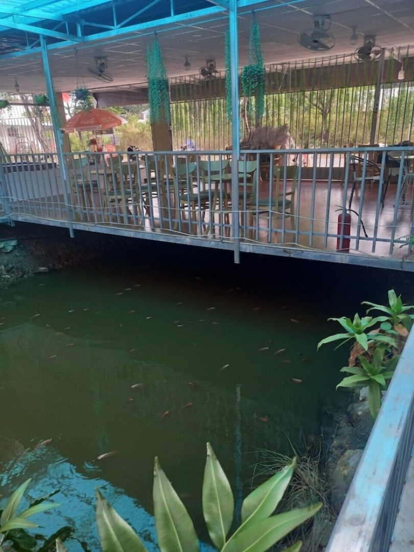 Phuoc Long Homestay