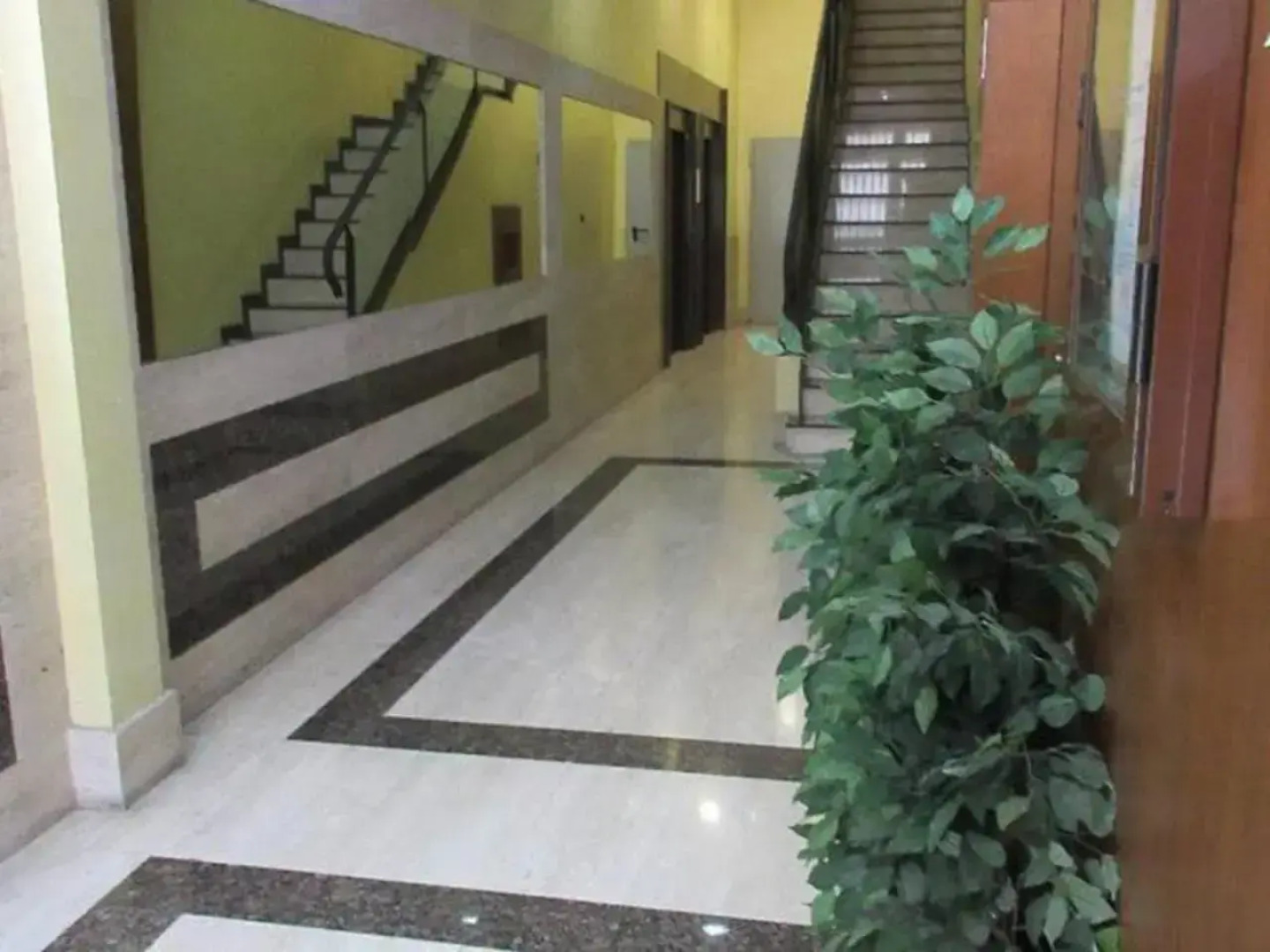 Owner Solidarity - Reduction of prices - 2