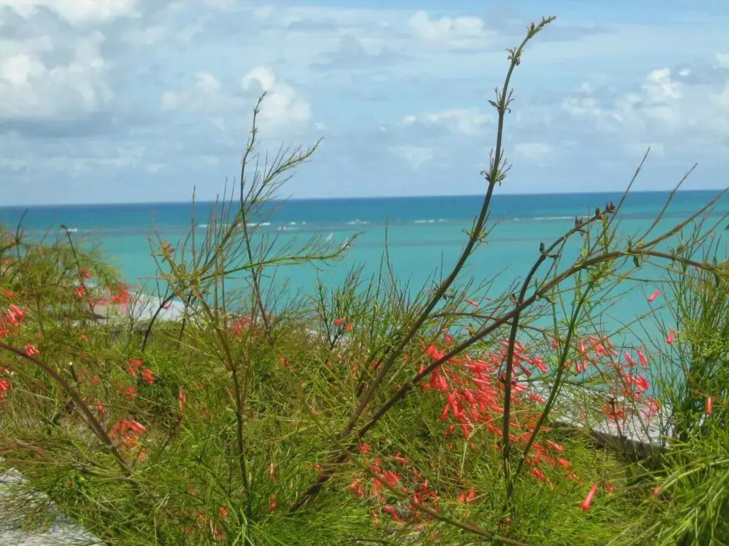Apartamentos Praia de Pajucara