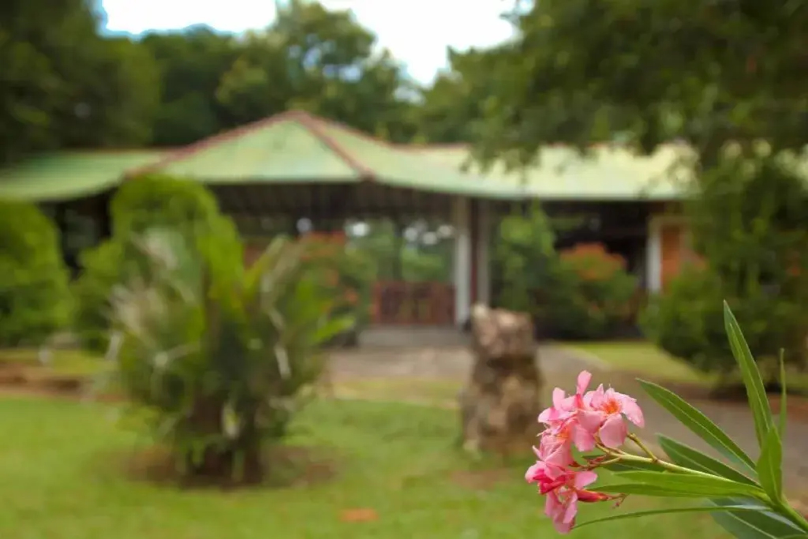 mastodon valley safari resort
