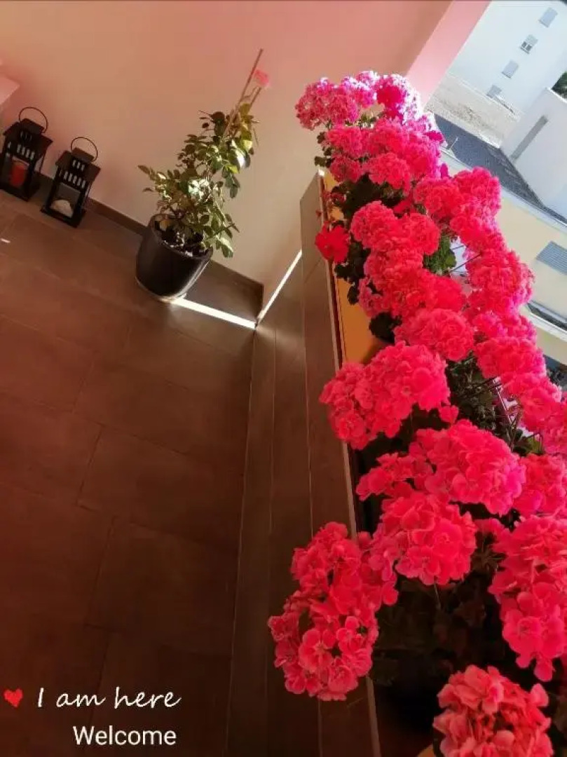 Zimmervermietung Bern