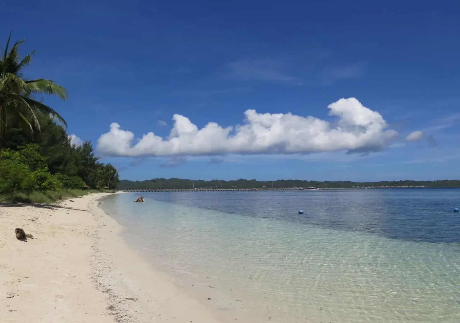 Hoga Dive Inn Wakatobi
