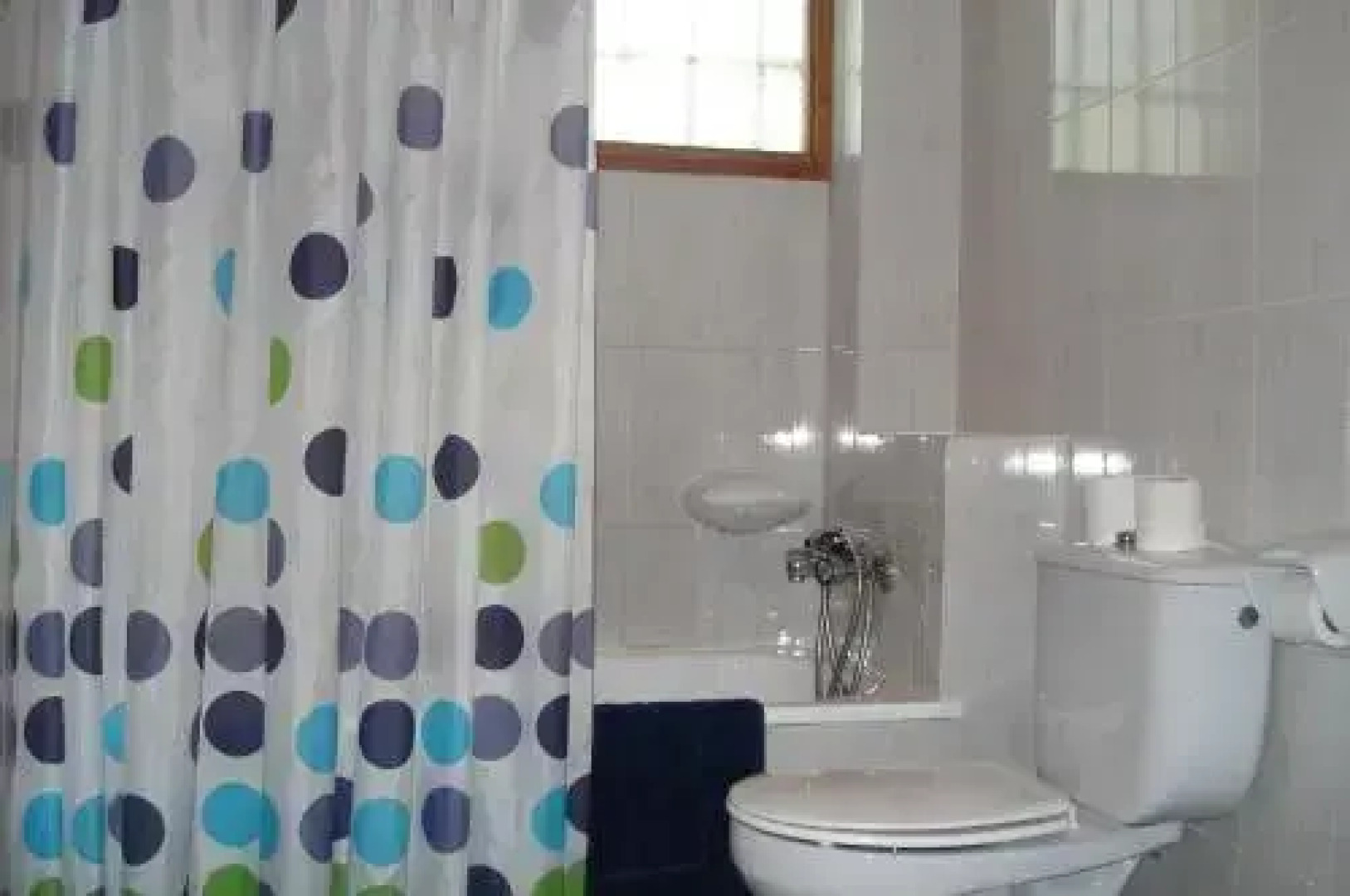 Apartaments Pont Romànic