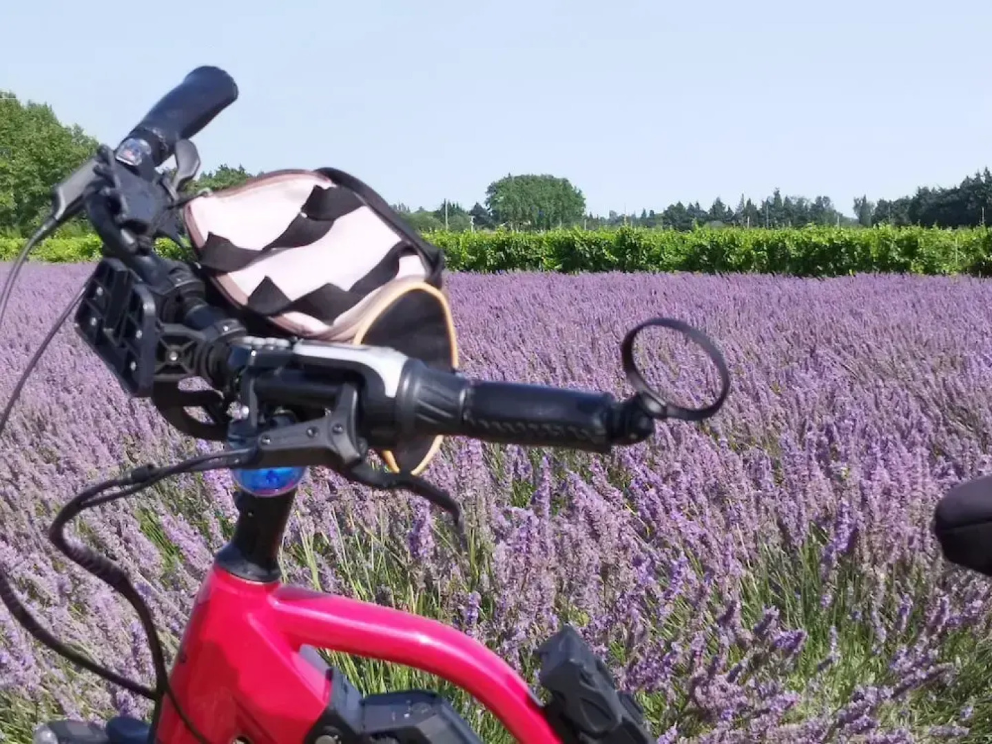 Entre vignes et dentelles