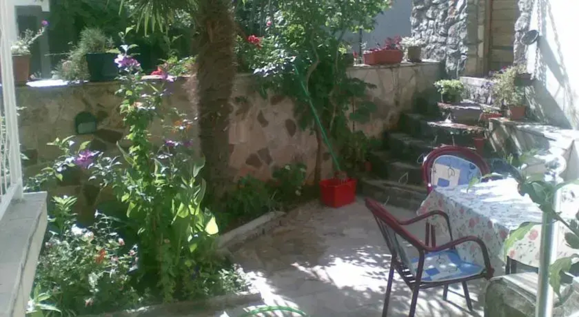 Apartments Radonjic