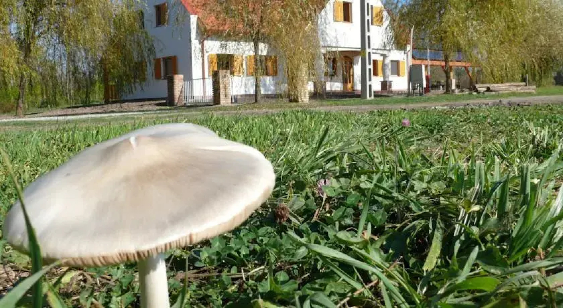 Pölöskei Tó Vendégház