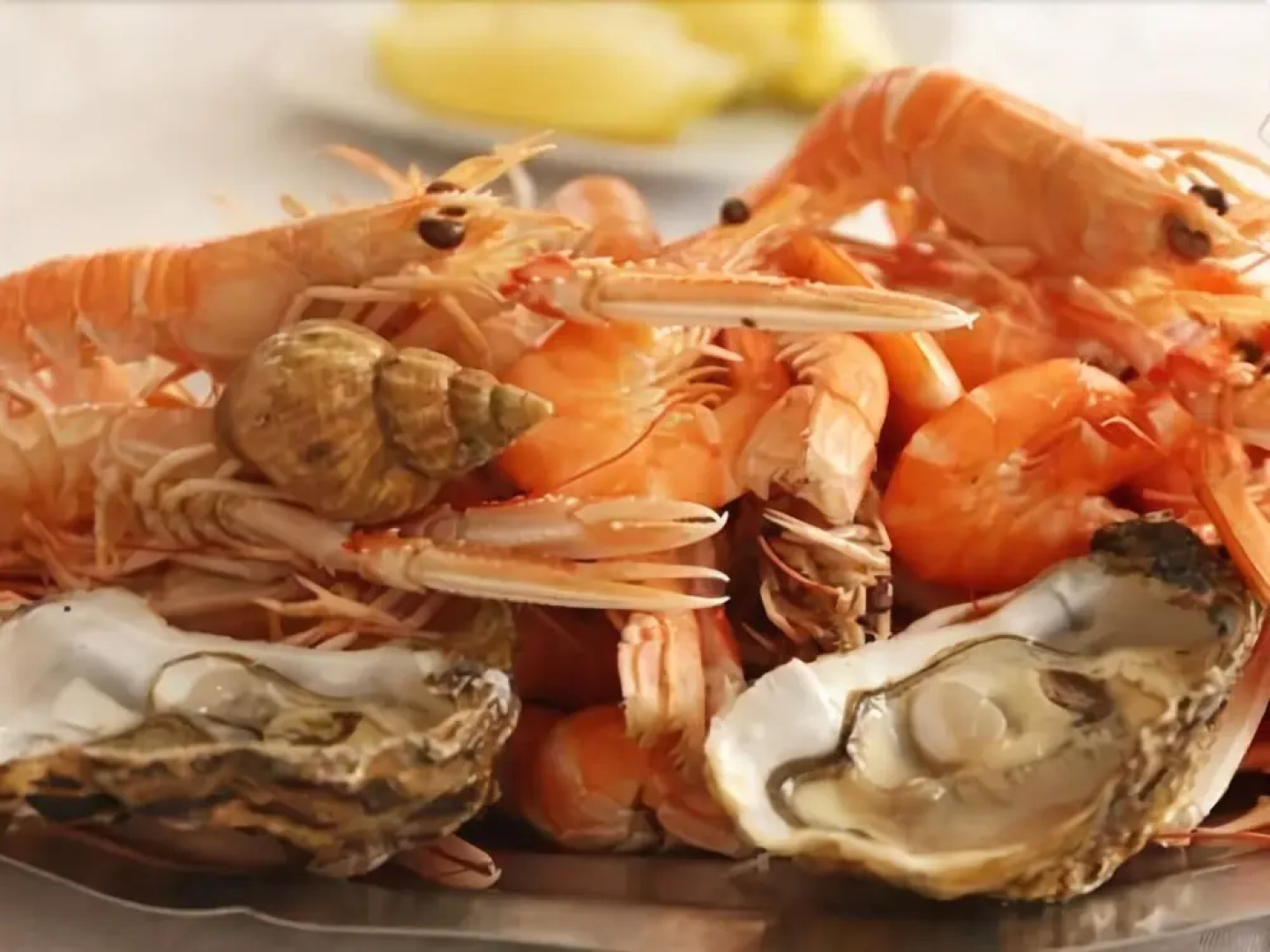 Le Clos des Paludiers