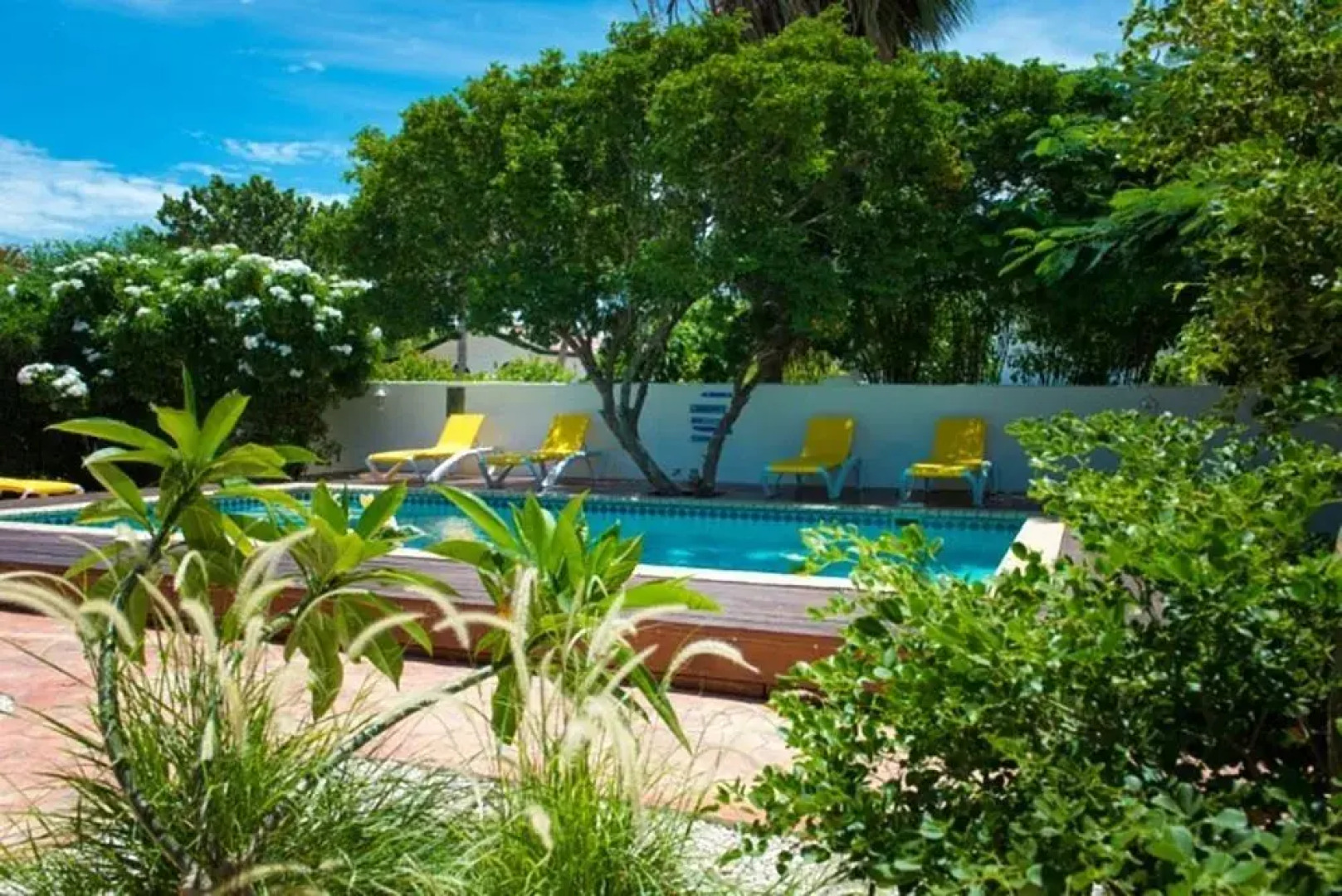 White Beach Apartments Palm Beach