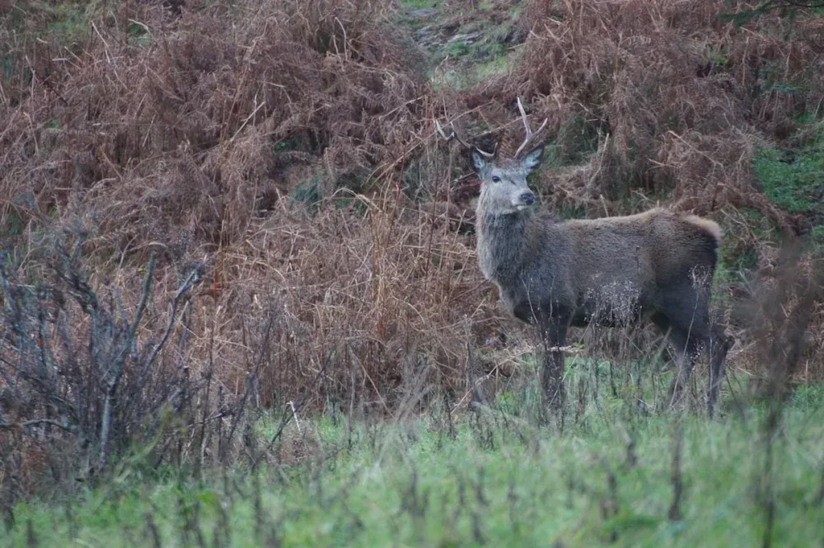 West Horizon Holiday Lodge, Beach 3 Minutes Walk