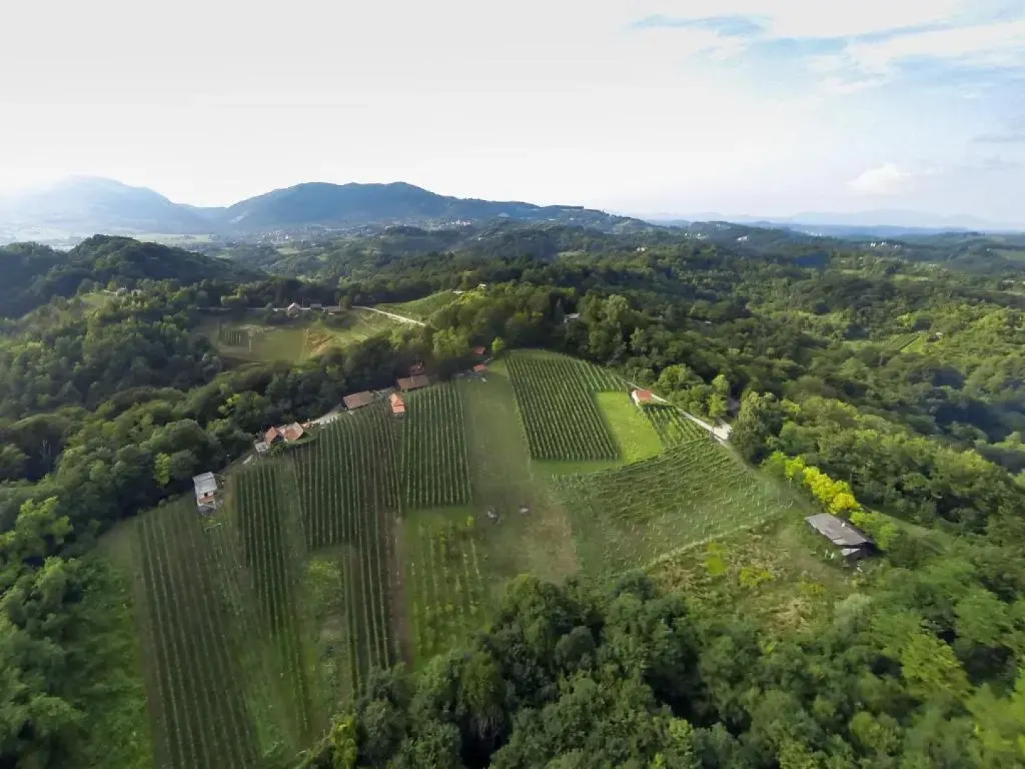 Lodge Green paradise