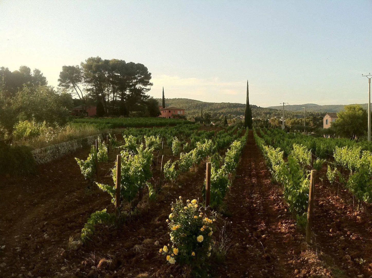 Domaine Rabiega