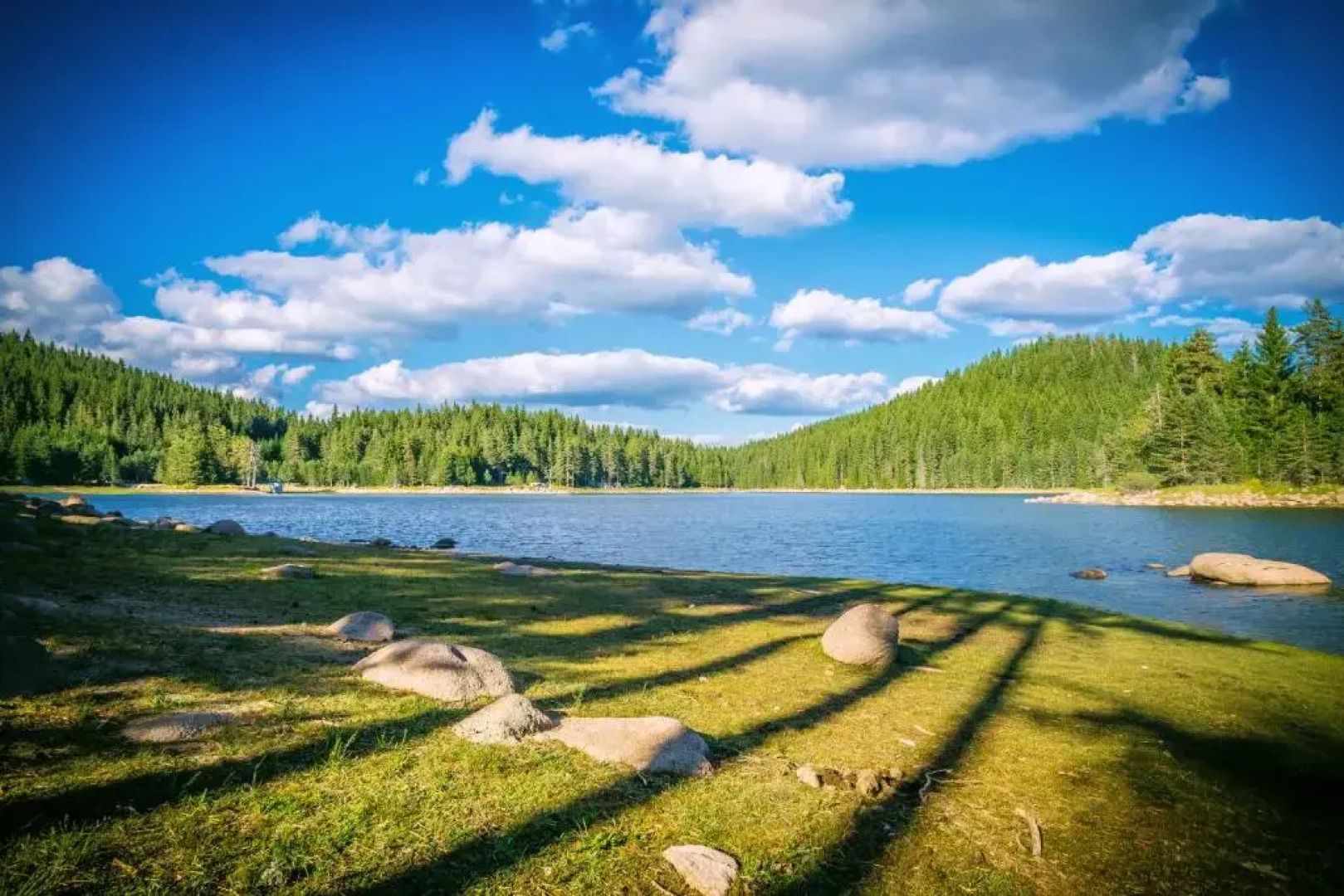 Romantica Forest Holiday Village