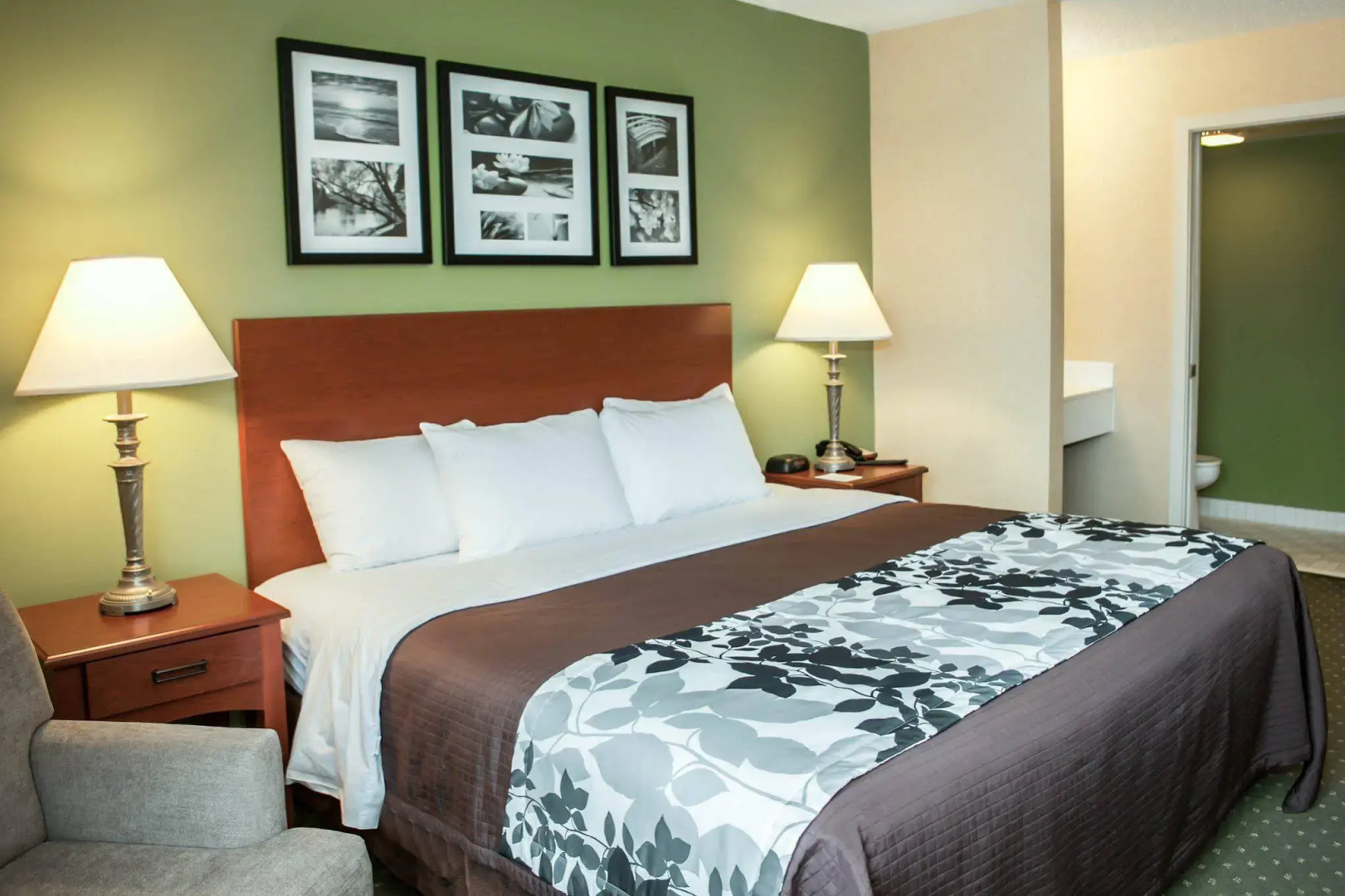 Sleep Inn Allentown - Fogelsville
