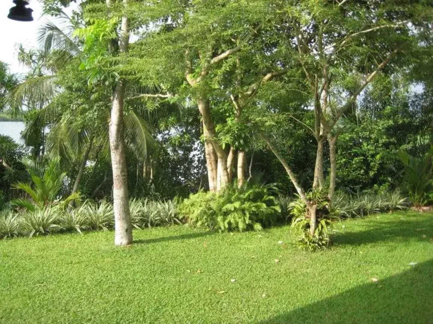 Whispering Waters Lodge