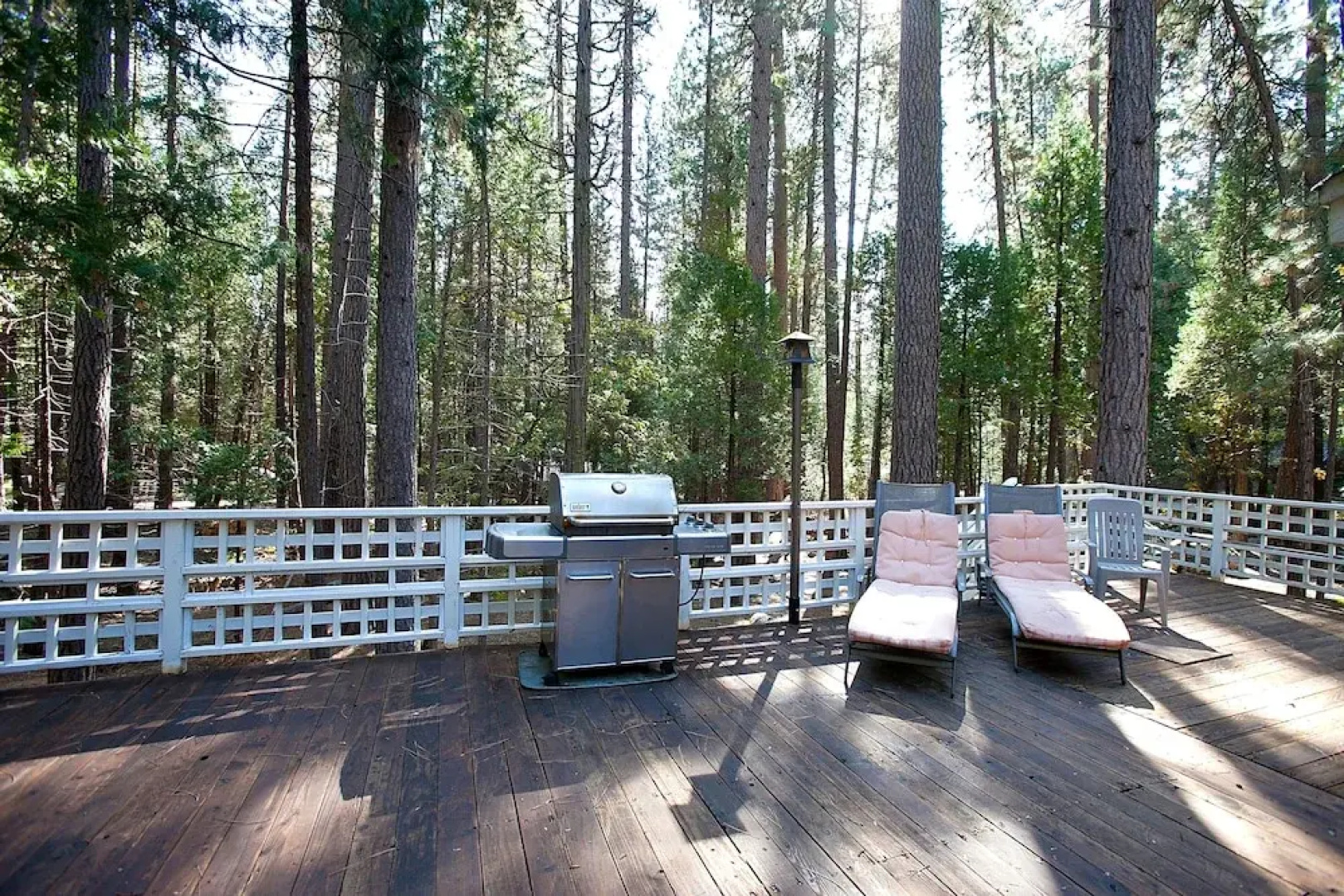 The Tree House II