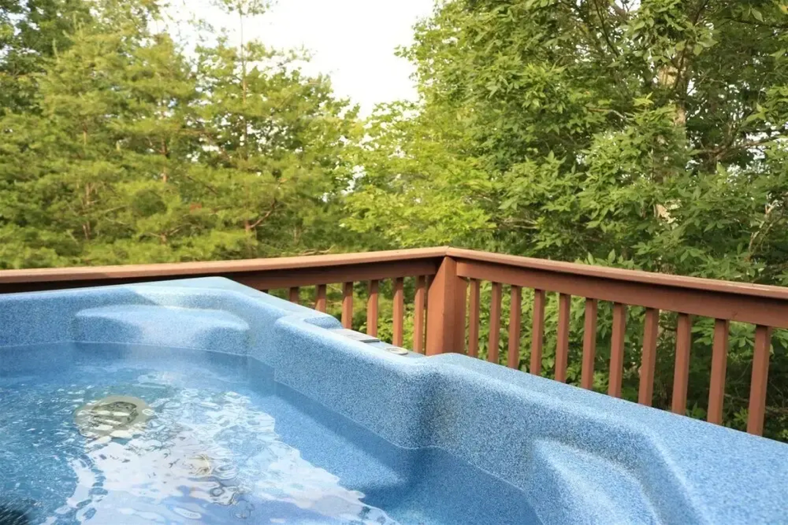 The View