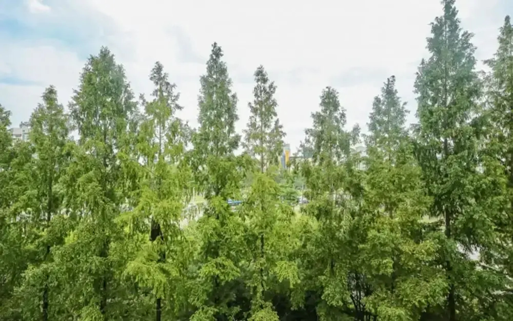 Ring Hotels In Nivelungen