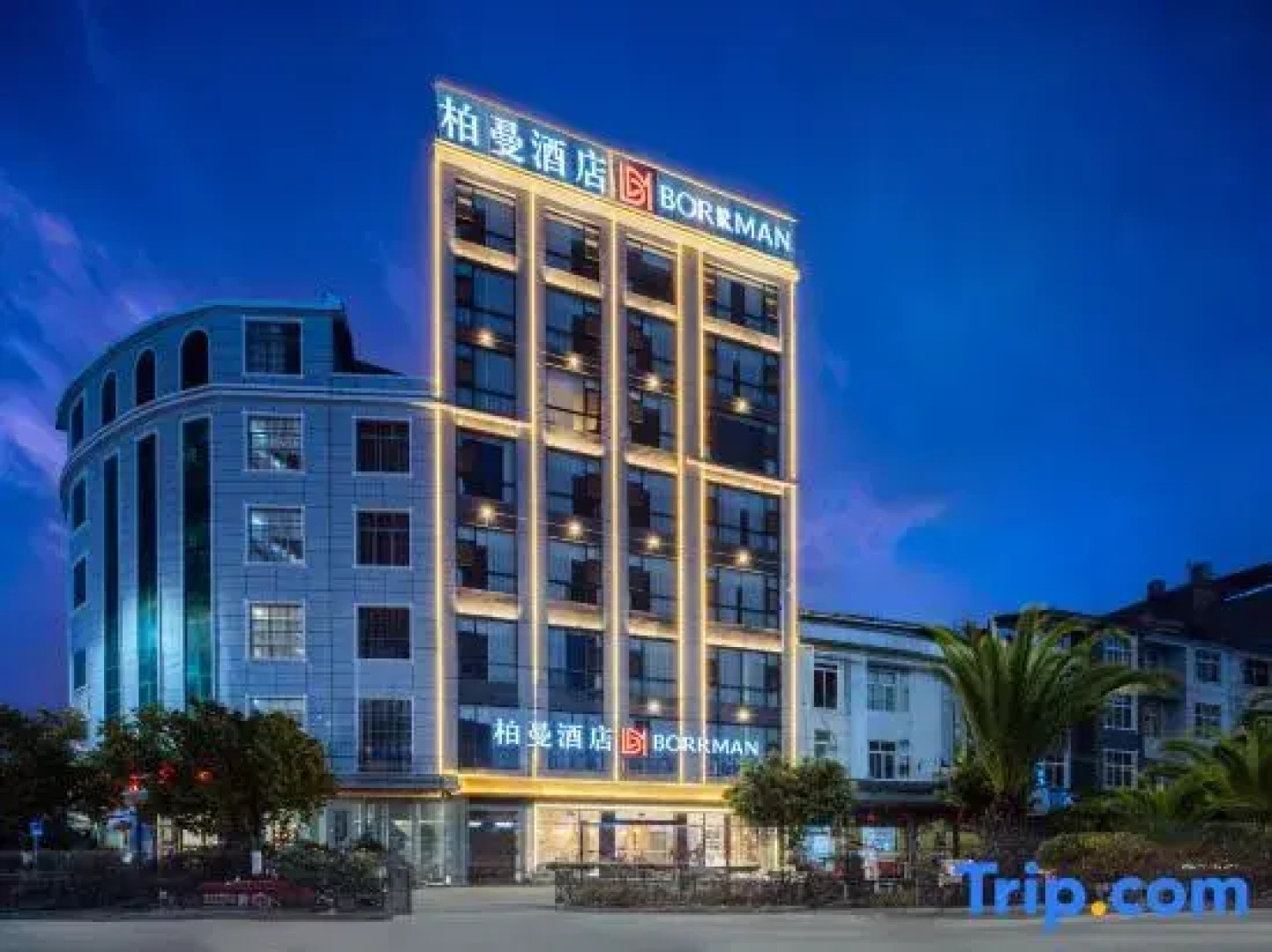 Borrman Hotel (Guangnan)