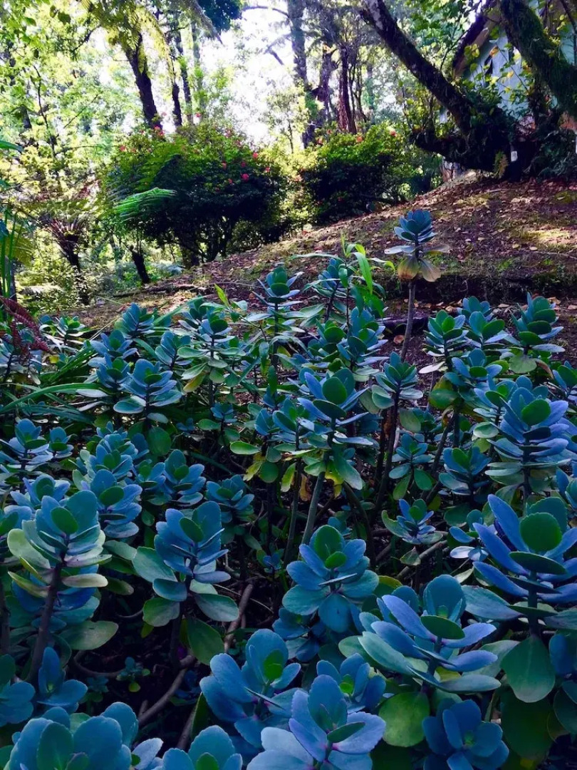 Ideal Para Familia Pequena O Grupo De Tres Amigos