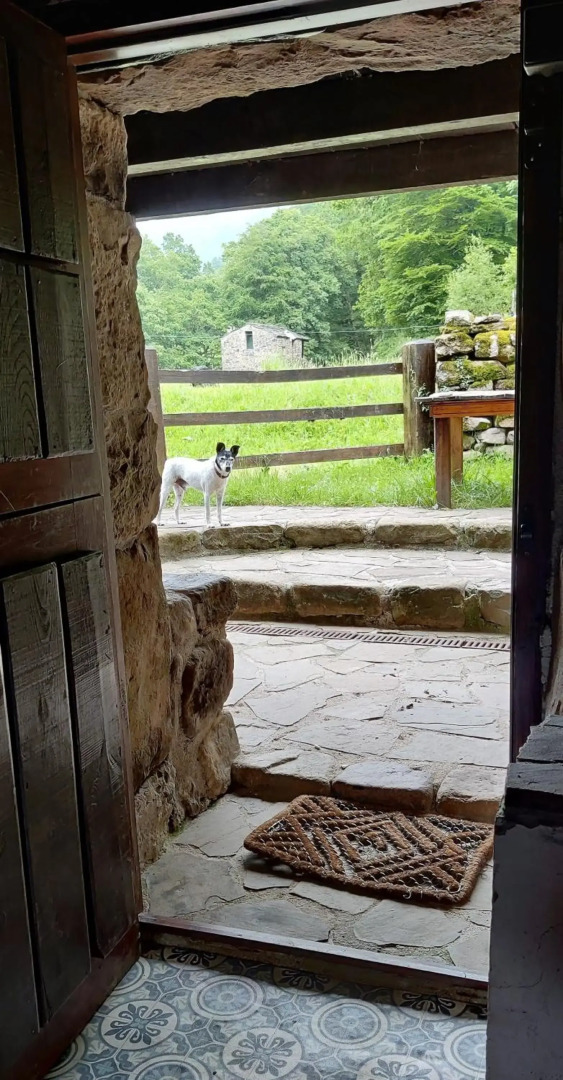 Pidream Cottage . Cabañas de Pisueña