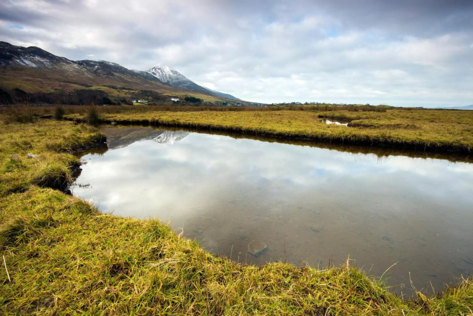The Cottage Hillside