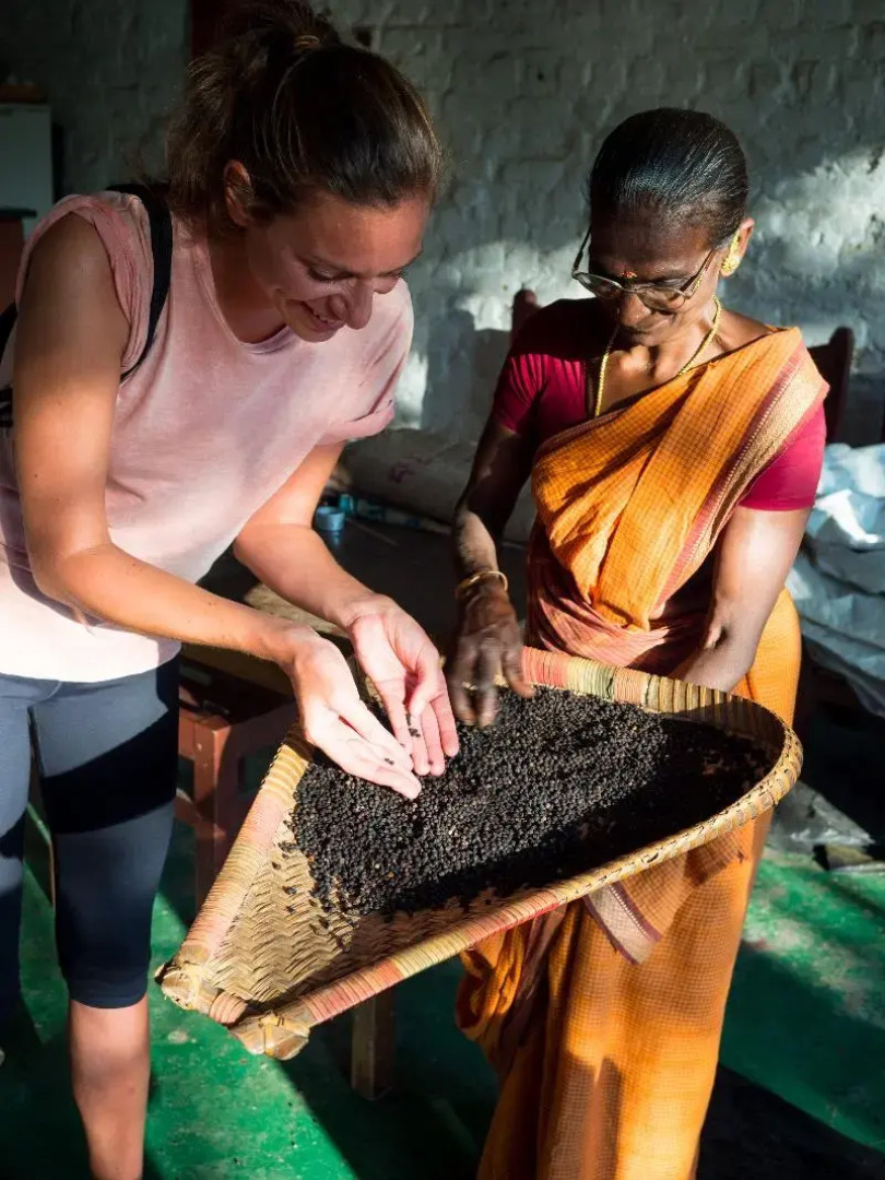 Spice Village - Cgh Earth