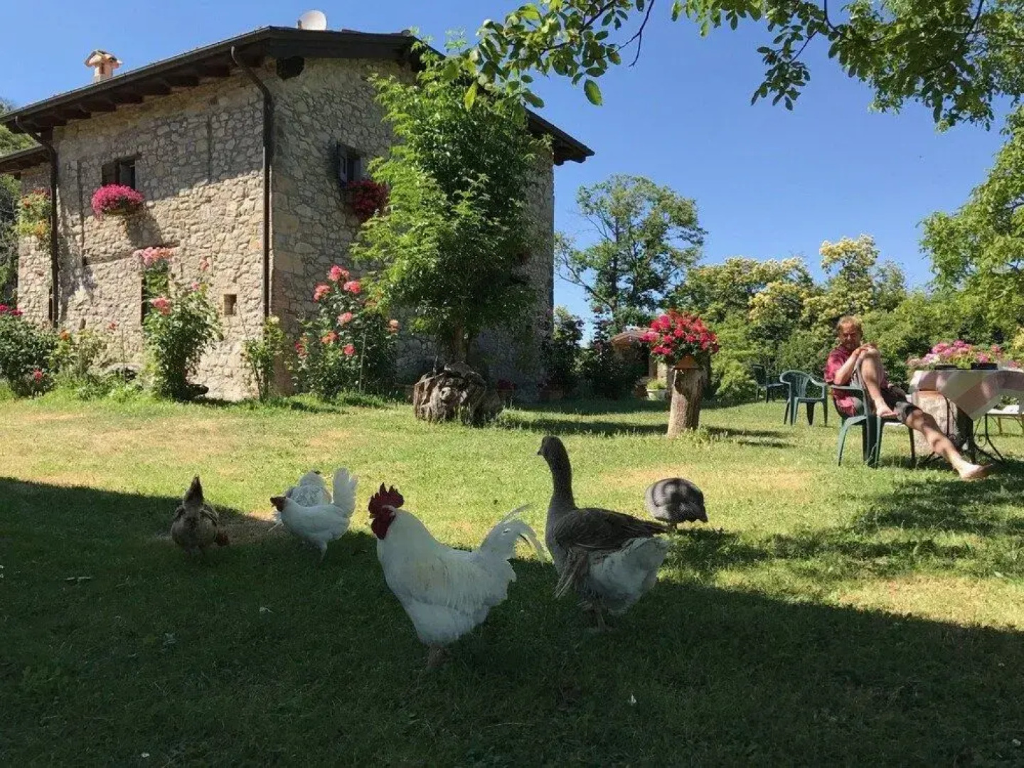 La Piana Dei Castagni