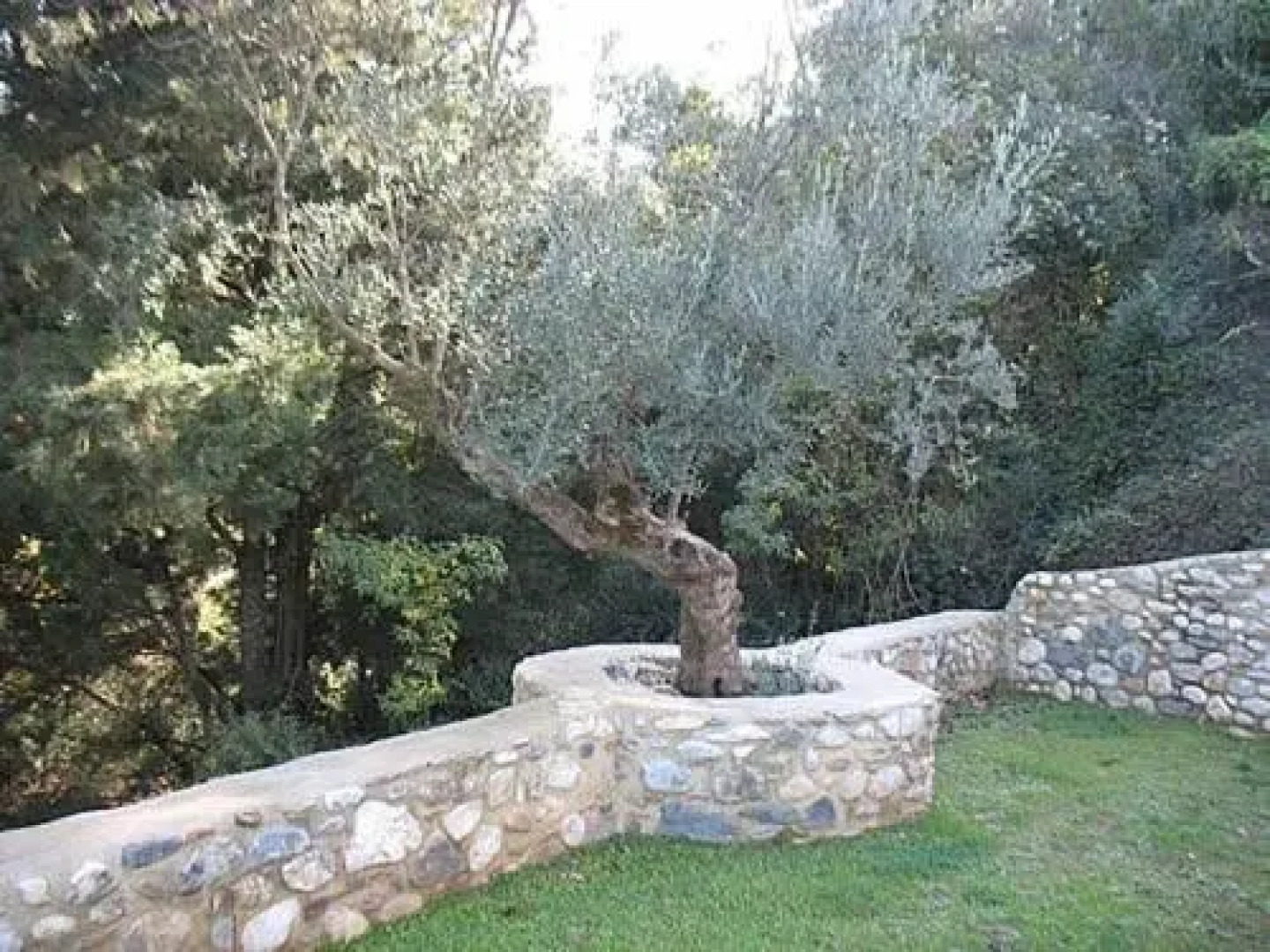 Pikoulianika Apartments