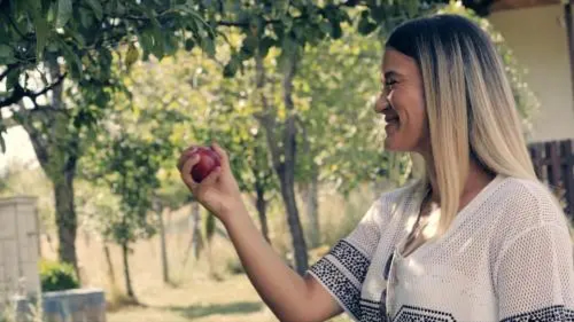 Brvnara za dvoje Glisovic