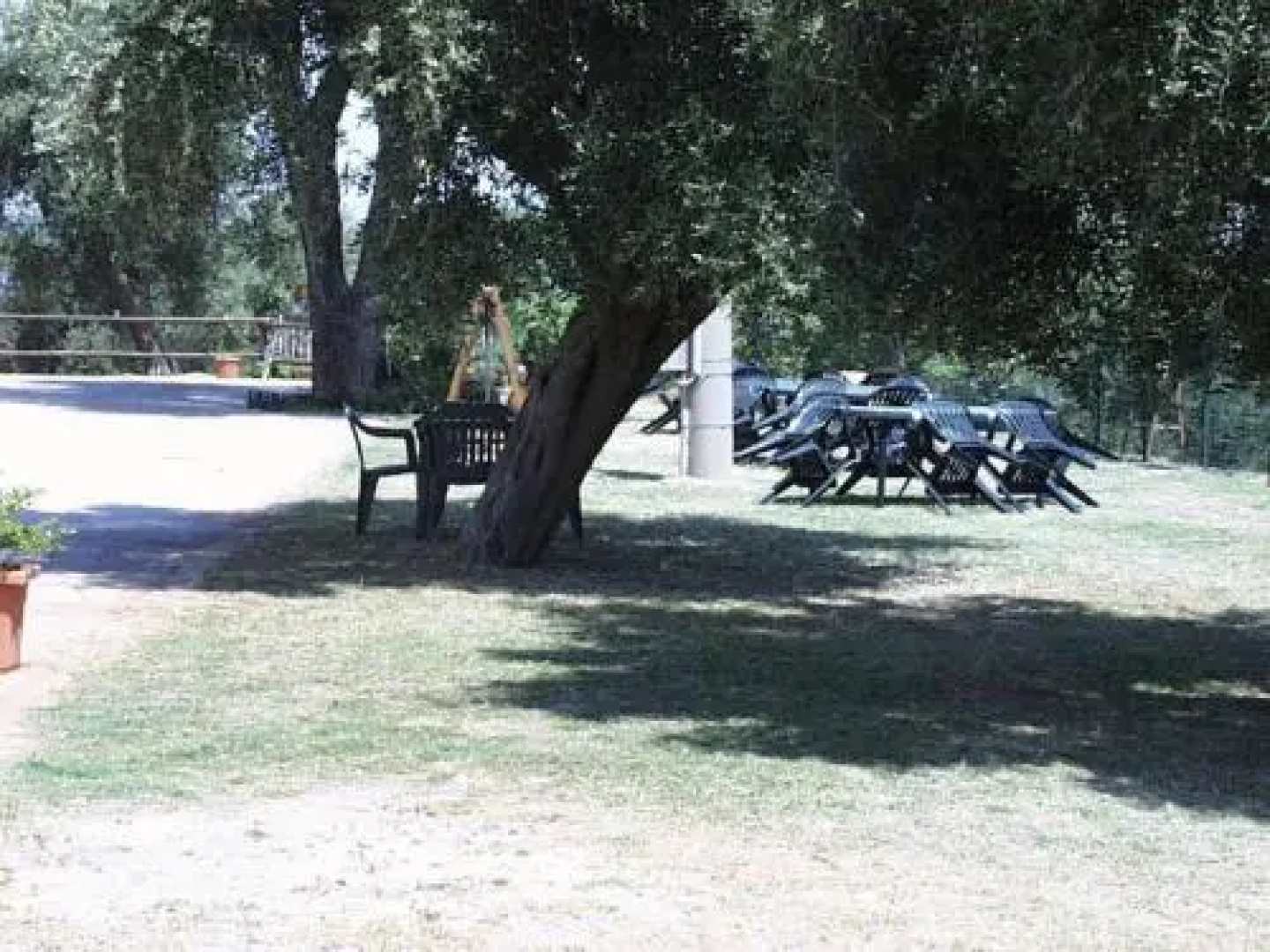 Tenuta di Alberese