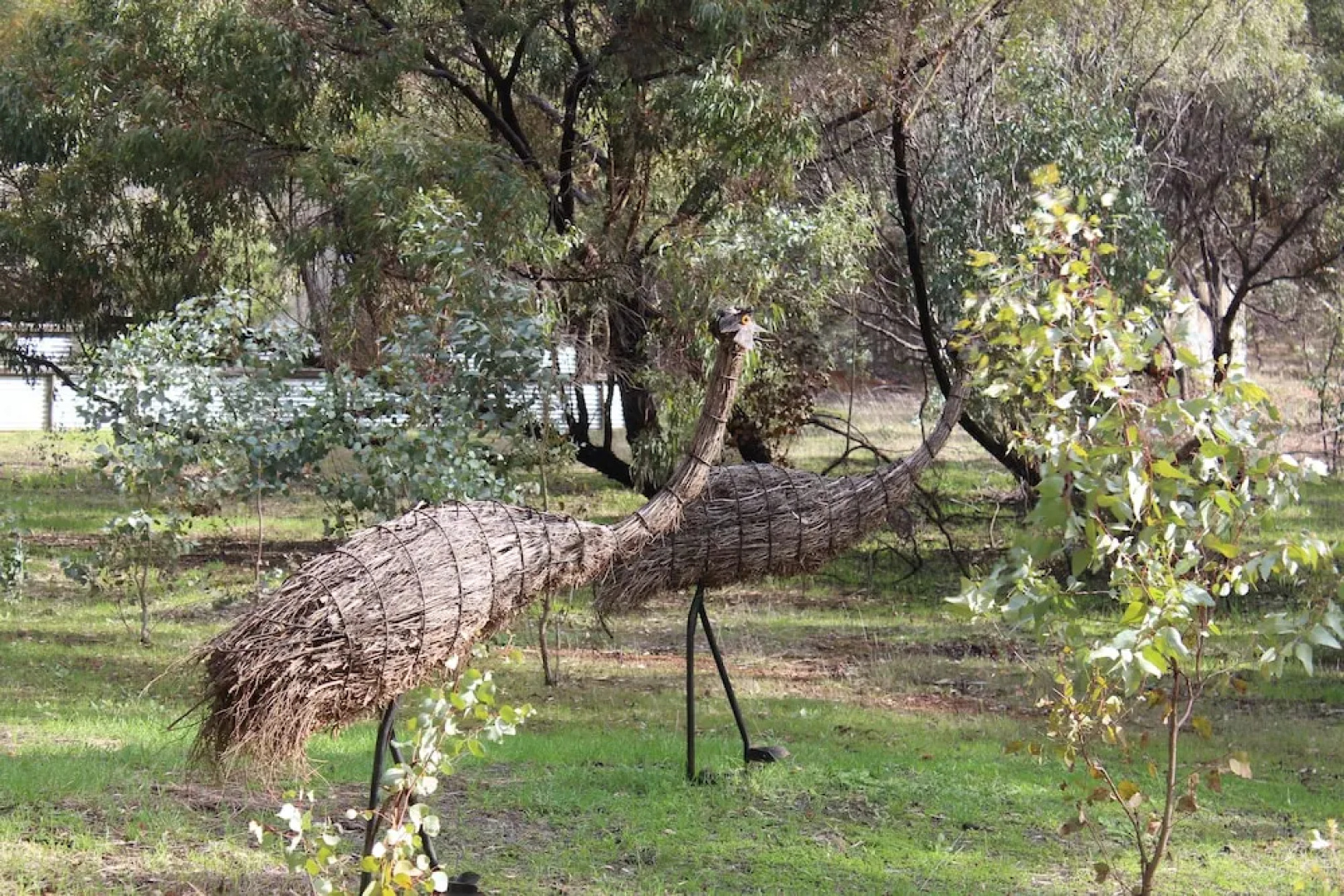 Black Wattle Retreat