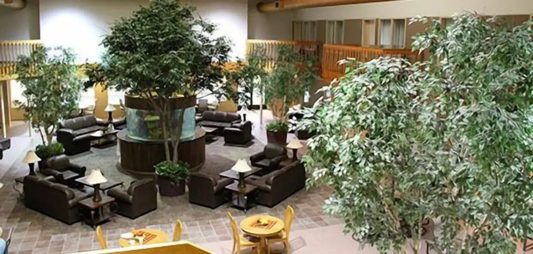 C'mon Inn Thief River Falls