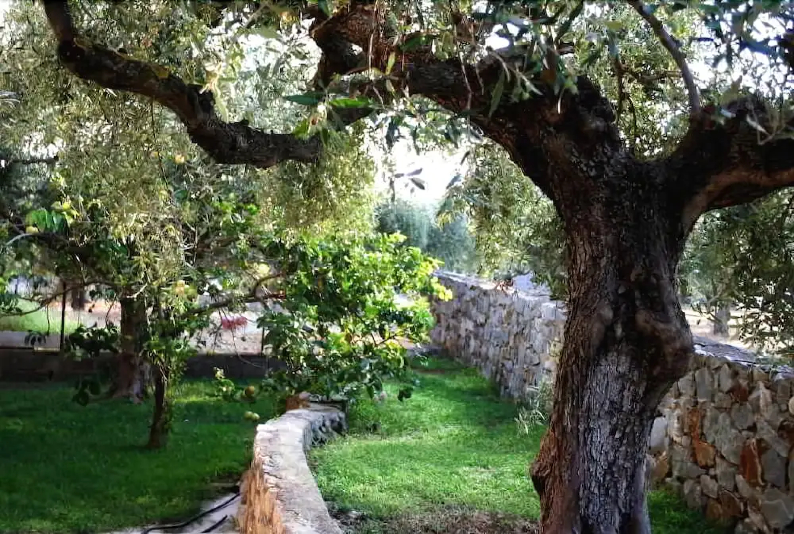 Nikas Rooms & Apartments