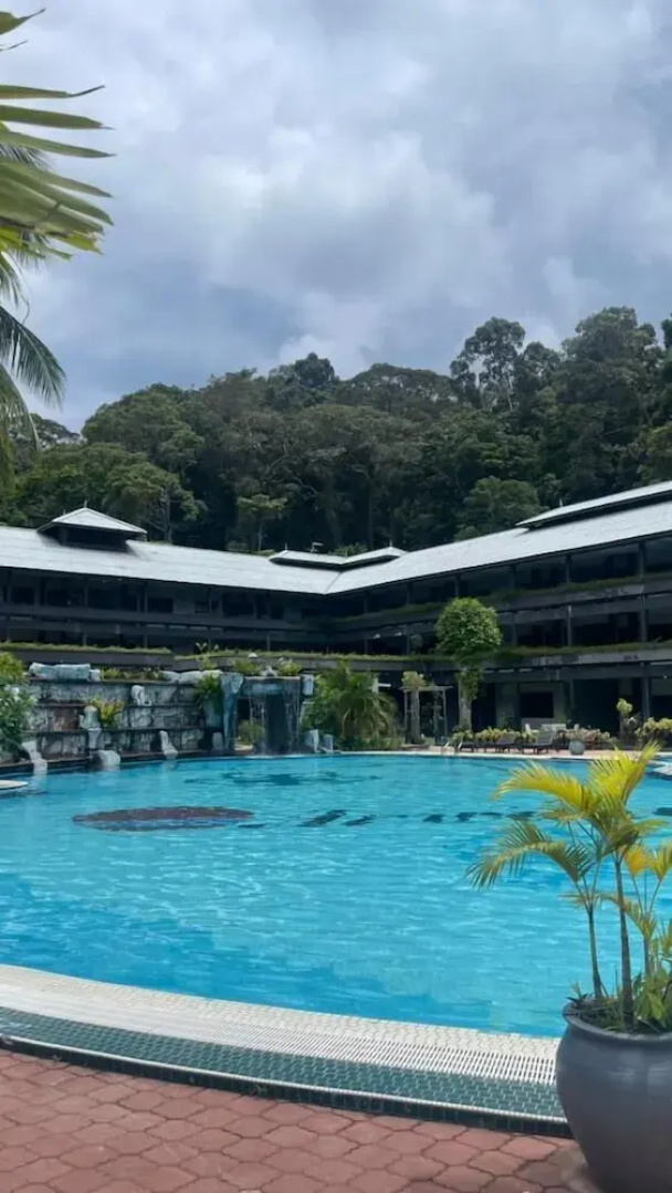 Arwana Perhentian Bluestar