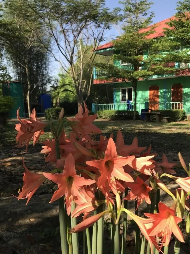 Suan Phueng Pa Wai Resort