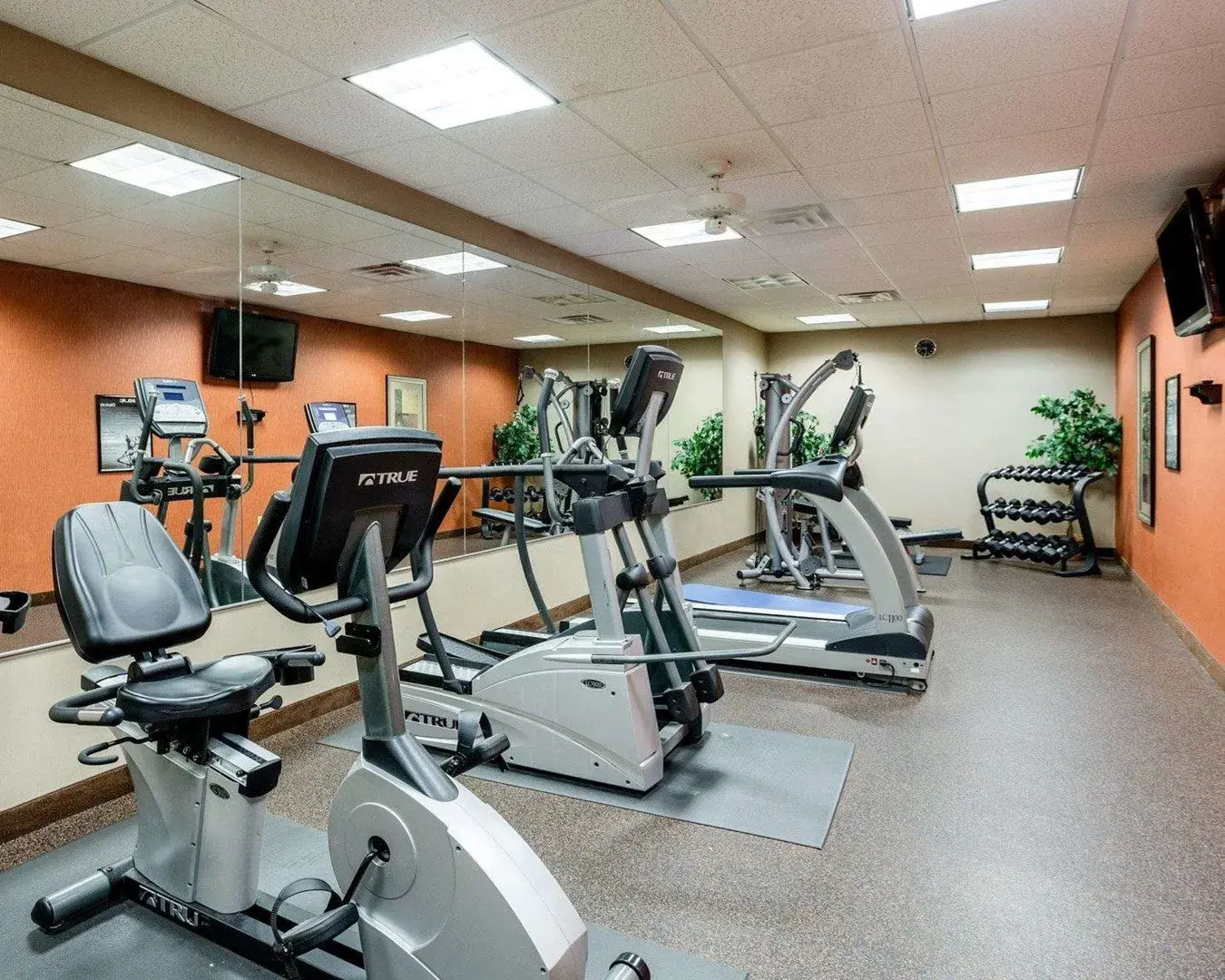 Comfort Inn & Suites Grenada