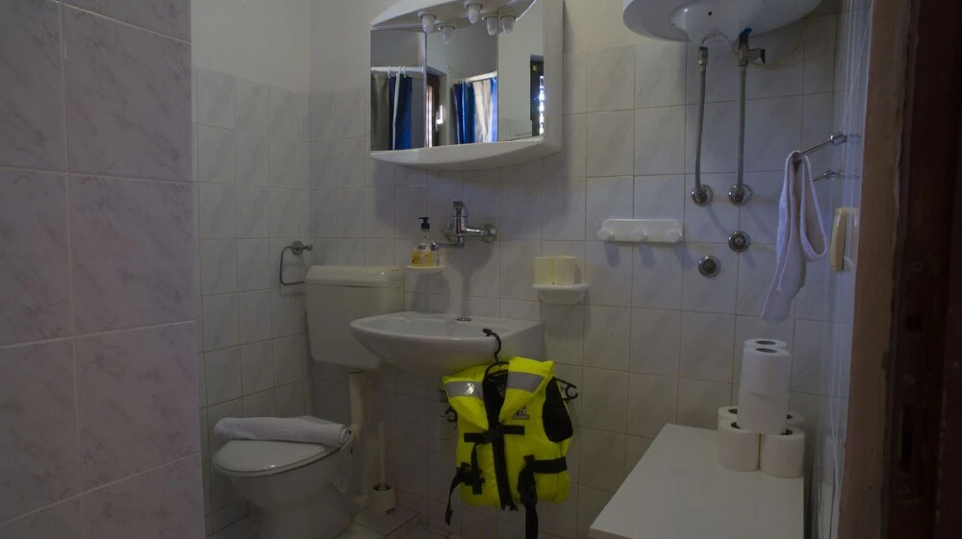 Victorious VIScovery Green