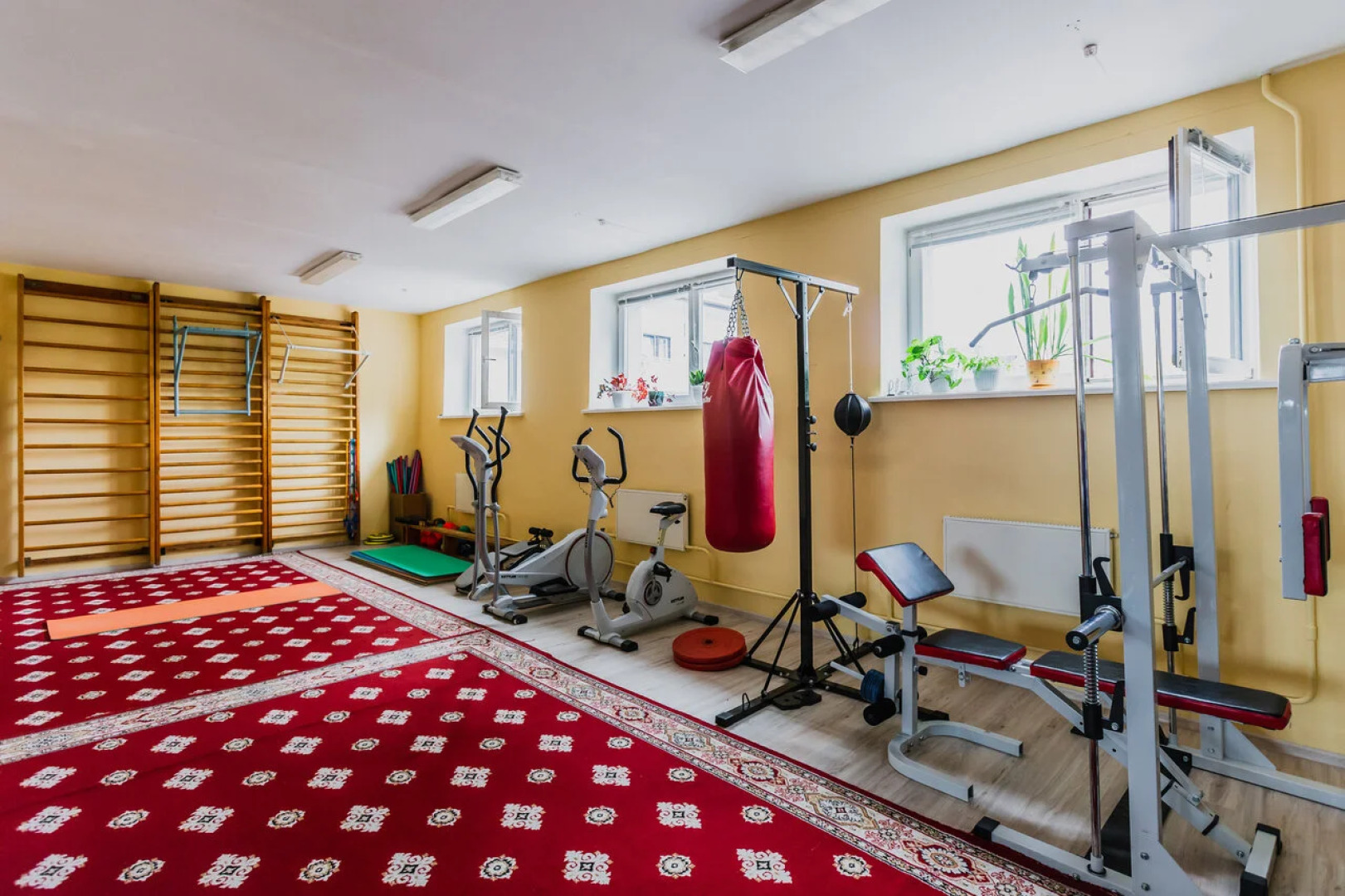 Borovoe (Vitebskaja oblast')