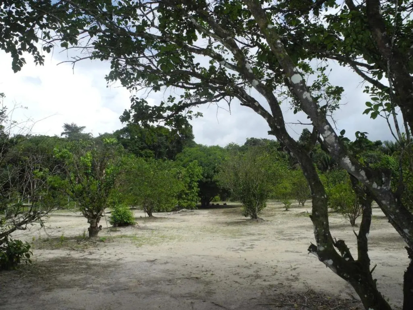 Sonja's Guesthouse