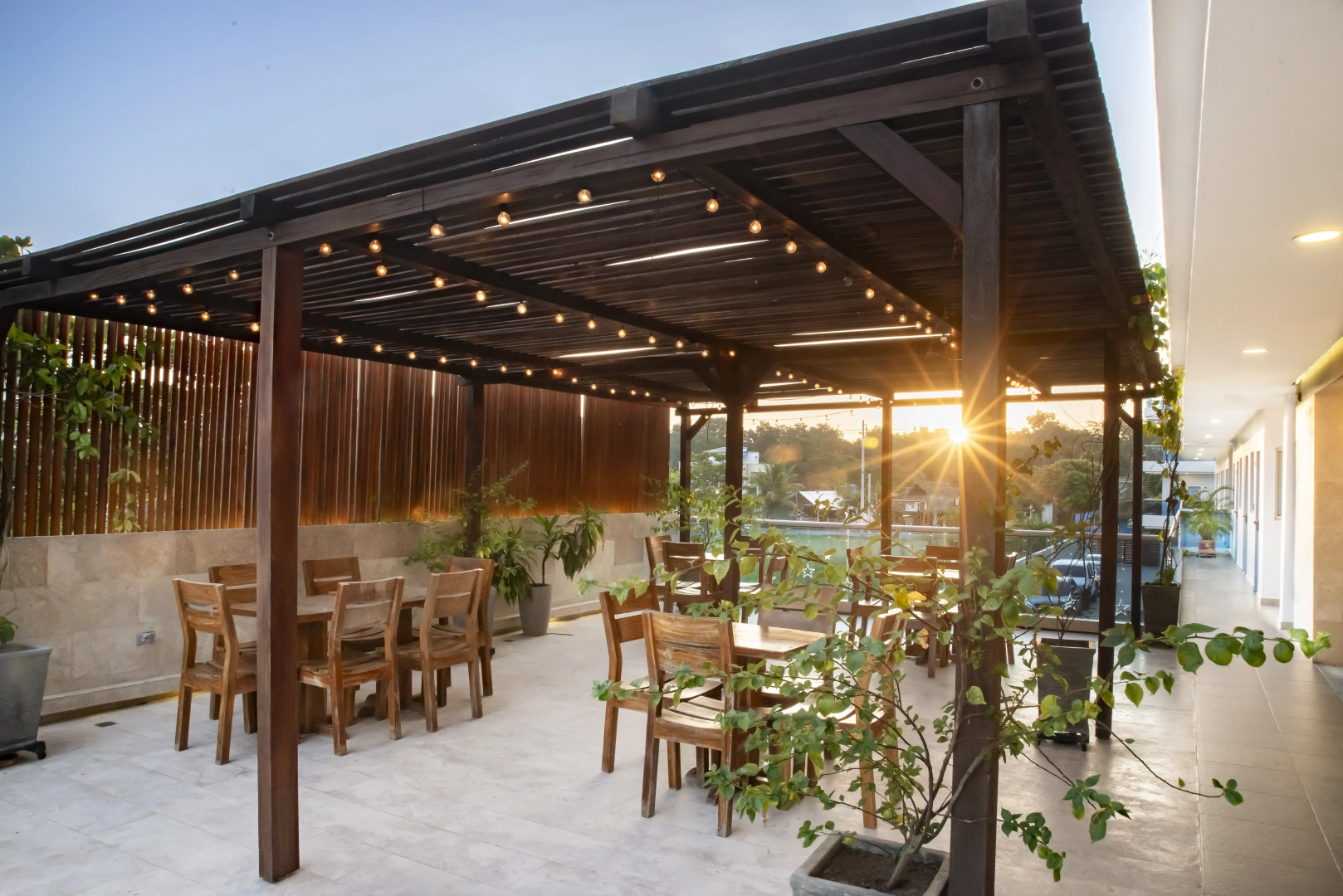 Camino Palmero Coveñas